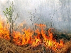 Контролируемое выжигание травы как очаг нового пожара