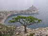 Высокоскоростная магистраль может дойти до Крыма